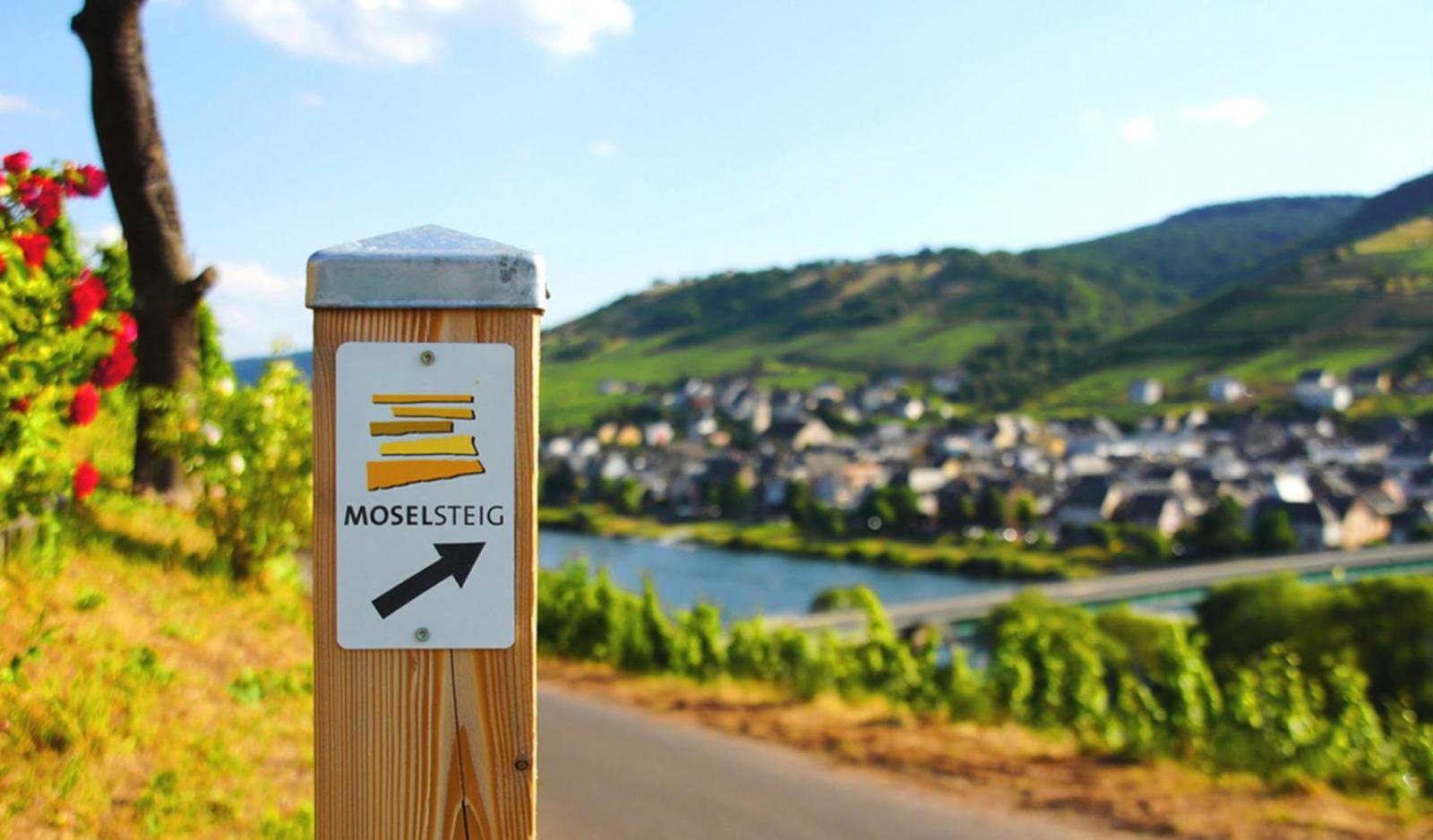Gaestehaus Weingut Mathy-Schanz Osann-Monzel Exterior foto