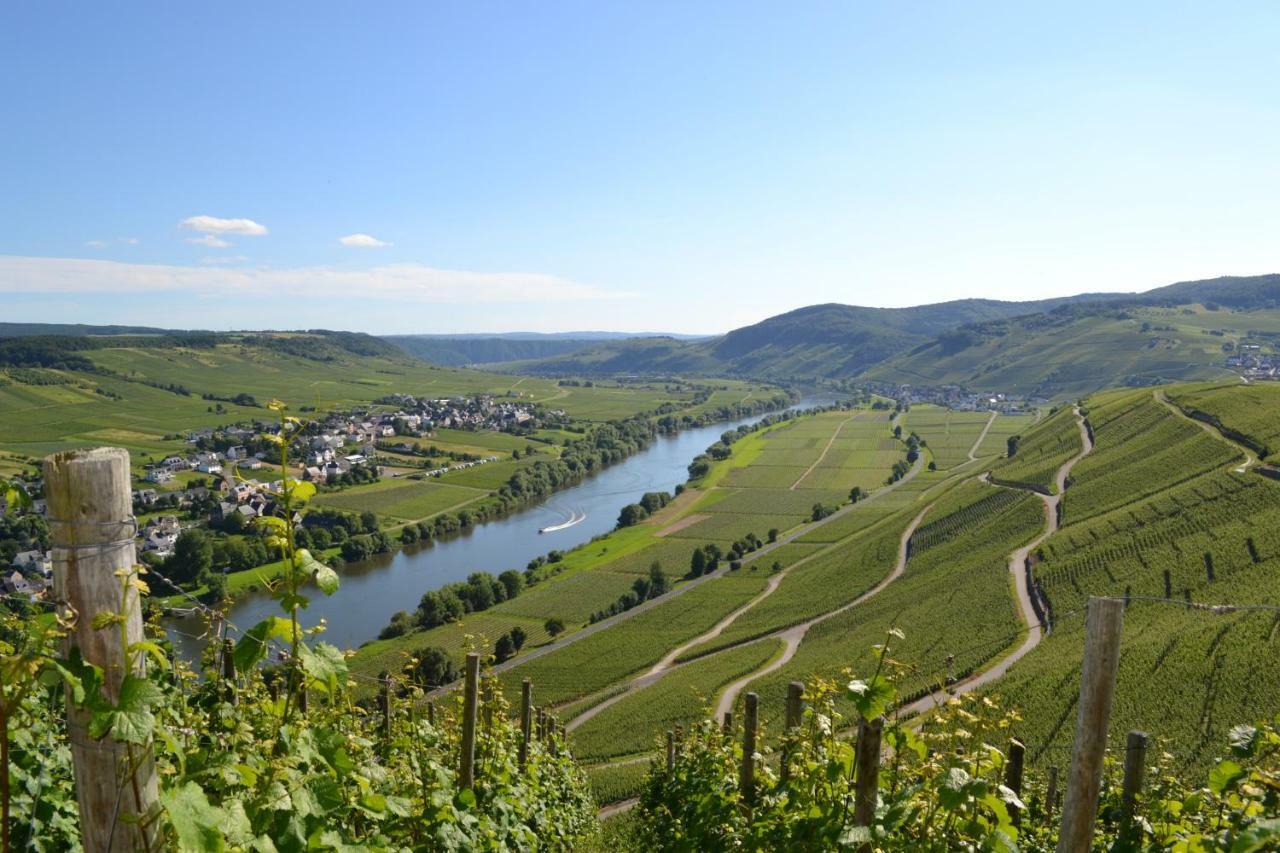 Gaestehaus Weingut Mathy-Schanz Osann-Monzel Exterior foto